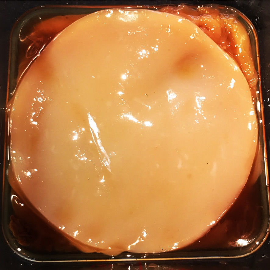 SCOBY culture